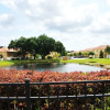 Отель Paradise Cay #1 - 3 Bed 3 Baths Townhome, фото 1