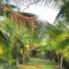 Отель Puerto Arturo, фото 8