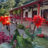 Отель La Tángara hostal rural, фото 1