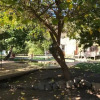 Отель Las Pircas De Olmue, фото 11