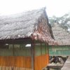 Отель Amazon Camp Expeditions tours and hostel, фото 18