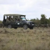 Отель Ngerende in the Wild Riverview, фото 8