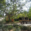 Отель Masseria Le Palmentelle, фото 10