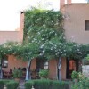 Отель Dar Zitoune - Guest House, фото 9