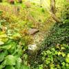 Отель Aurora House Bed And Breakfast, фото 7