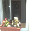 Отель Guest House Miro, фото 11