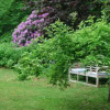Отель De Hagmolenbeek Boekelo, фото 5