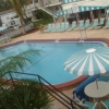 Отель Belleair Village Motel, фото 10