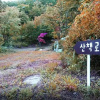 Отель Jamping Holiday Daebudo Island - Campsite, фото 6