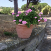 Отель Villa La Cerretana, фото 7