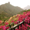Отель Casita RoqueNublo, фото 8
