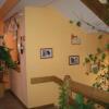Отель Pensjonat Lotos, фото 5
