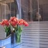 Отель Monastero Flat, фото 7