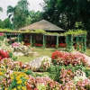 Отель Krisdadoi Chiang Mai Aprime Resort, фото 9