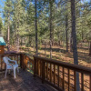 Отель Klein - Truckee Home, фото 1