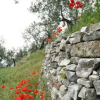 Отель Agriturismo 