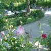 Отель Villa Meca, фото 2
