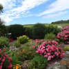 Отель Atlantic View B&B, фото 14