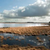 Отель Vakantiepark Bosmeer, фото 6