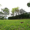 Отель Hostal Campestre El Santuario, фото 5