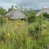 Отель Inkosana Berg Lodge, фото 11