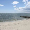 Отель The Colony Beach Motel, фото 7
