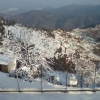 Отель HBC Grand Himalayan Hotel & Resort, фото 6