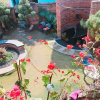Отель Welcome Om Homestay, фото 21