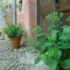 Отель Bed & Breakfast Antico, фото 8
