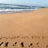 Отель Seaview Self Catering Amanzimtoti, фото 2
