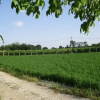 Отель Agriturismo La Falcadura, фото 2
