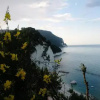 Отель Affittacamere Villa Ghirardelli, фото 8