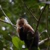 Отель Drake Paradise Point, фото 12