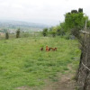 Отель Agriturismo Il Paretaio, фото 2