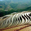 Отель Longji Jinkeng Titian Inn, фото 4