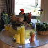 Отель Hove Ter Hille, фото 6