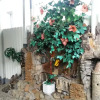 Гостиница Алла, фото 10