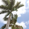 Отель Casa Campestre Premium Bed And Breakfast, фото 14