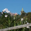 Отель Agriturismo Il Sole, фото 9