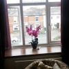 Отель Chesterfields Guest House, фото 8