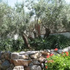 Отель Villa Manzanilla, фото 9
