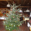 Отель Gasthof Alpenrose und Pension Nina, фото 7