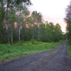 Отель Eco-Cabañas Quetroleufu, фото 6