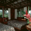 Отель Selva Bananito Lodge, фото 1