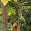 Отель Casa Canto das Toninhas, фото 8