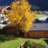 Отель Sterzingerhof, фото 6