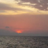 Отель Puerto Arturo, фото 7