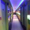 Отель Motel Show, фото 1