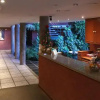 Отель Palmas Express B&B, фото 8