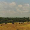 Отель Burren View, фото 5